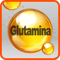 glutamina