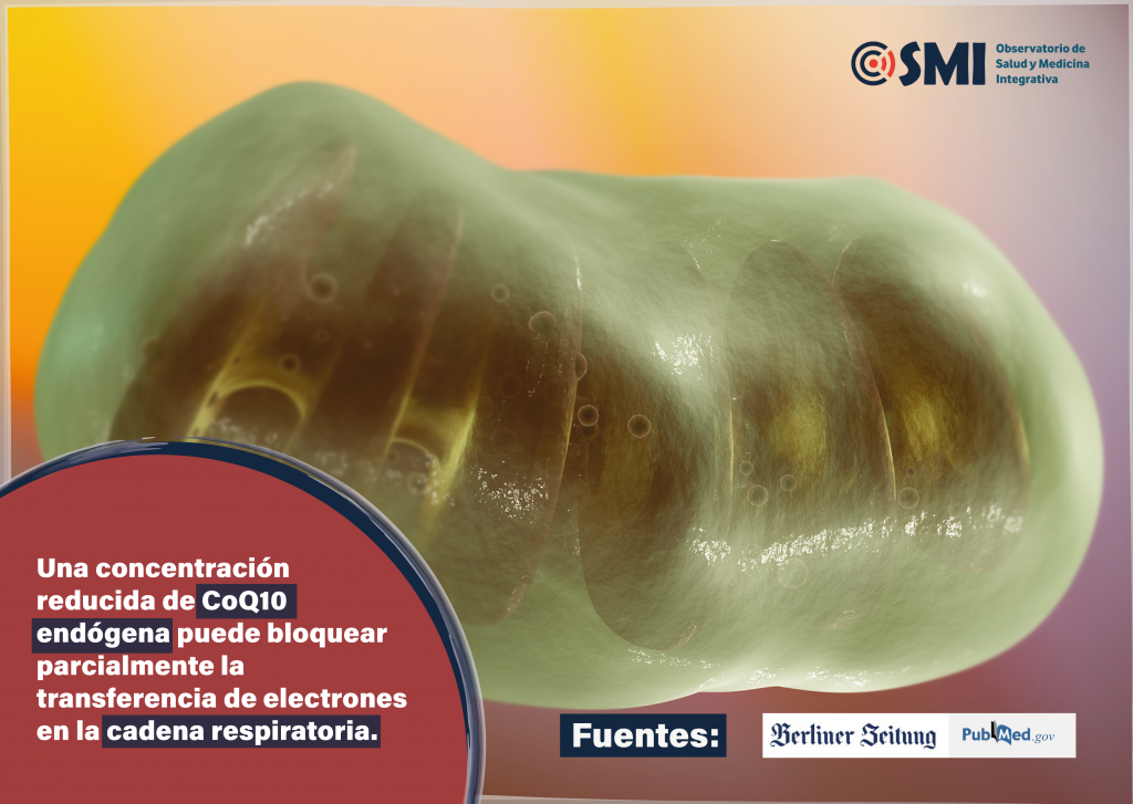 ¿Es un virus la causa subyacente de la fatiga crónica?